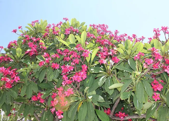 شقة فندقية Irinna 3*